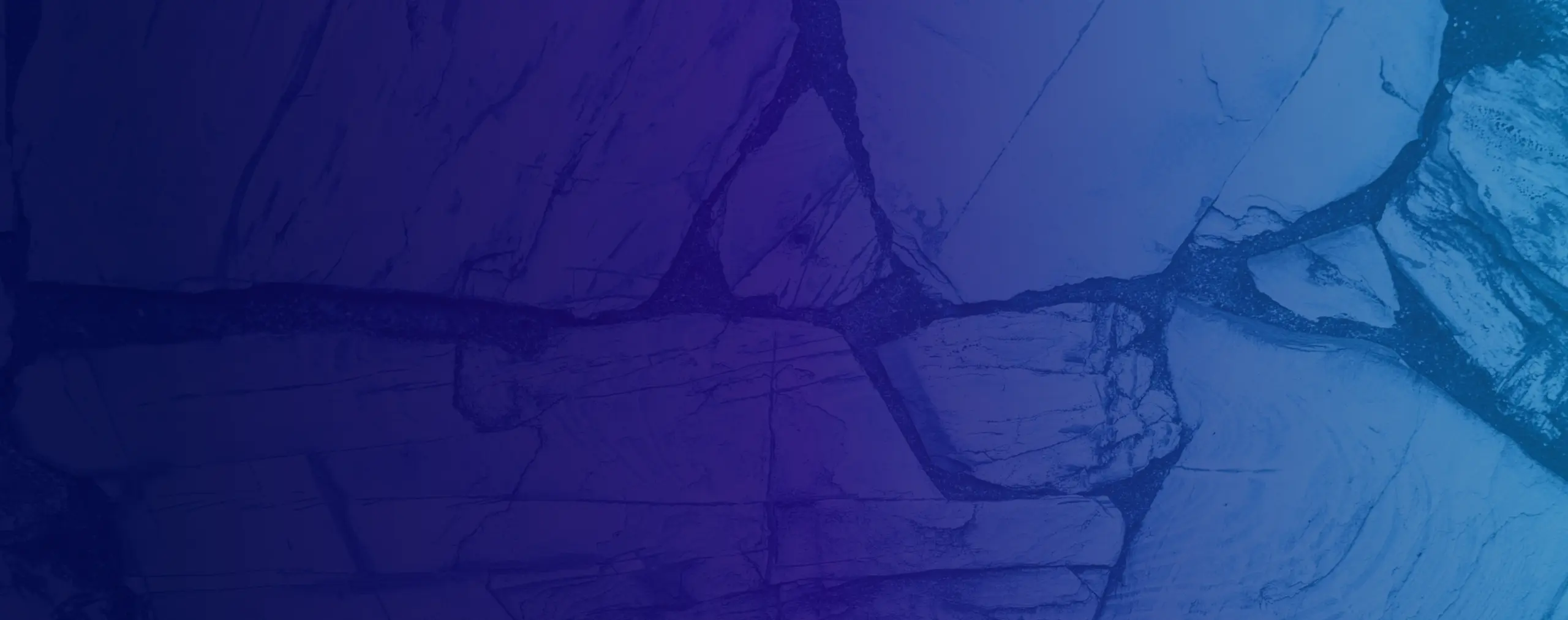 fs background