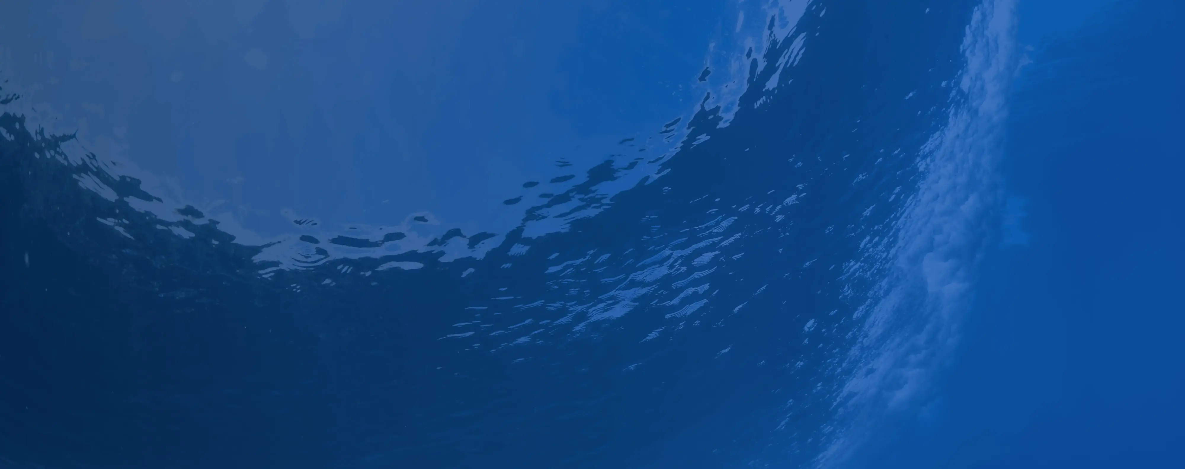 fs background